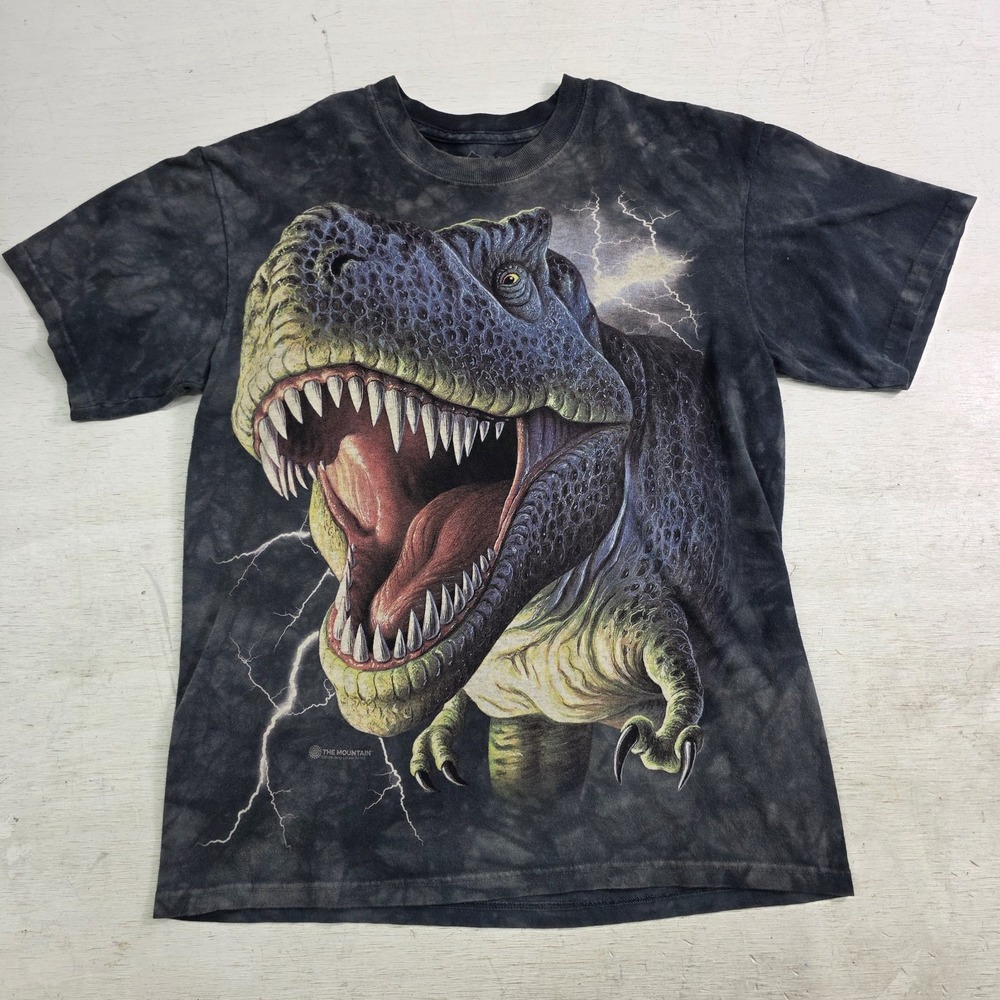 T-Rex Dinosaur Mountain Tie Dye Lightning Jerry Lofaro 2009 T-Shirt Men's S EUC